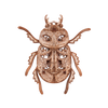Beetle image-1 English