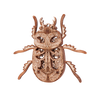 Beetle image-3 English