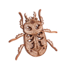 Beetle image-4 English