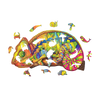 Colorful Chameleon image-2 English