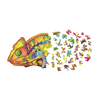 Colorful Chameleon image-3 English